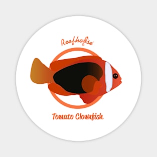 Tomato Clownfish Magnet